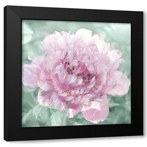Solo Blush I Black Modern Wood Framed Art Print with Double Matting by Sullivan, Shawna