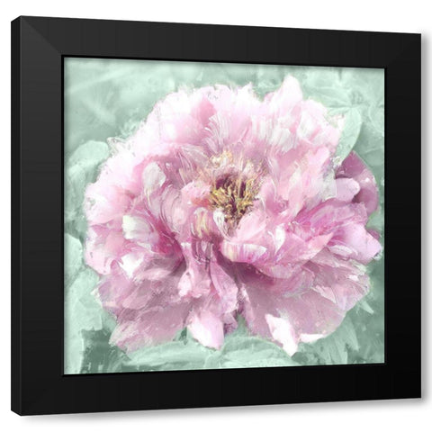 Solo Blush II Black Modern Wood Framed Art Print with Double Matting by Sullivan, Shawna