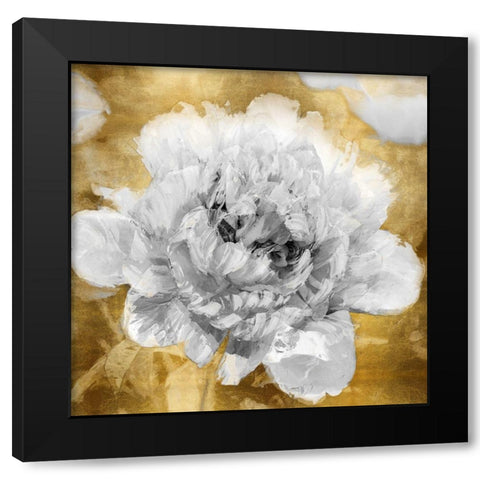 Solo on Gold I Black Modern Wood Framed Art Print by Sullivan, Shawna