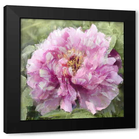 Solo Pink II Black Modern Wood Framed Art Print by Sullivan, Shawna