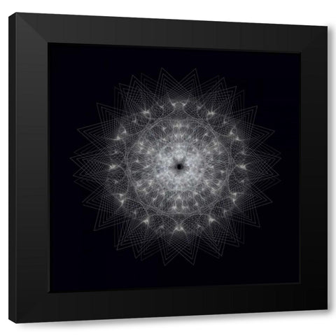 Dynamic III Black Modern Wood Framed Art Print by Anderson, Tyler