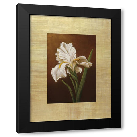 Fleur de Iris Black Modern Wood Framed Art Print with Double Matting by Huntington, Virginia