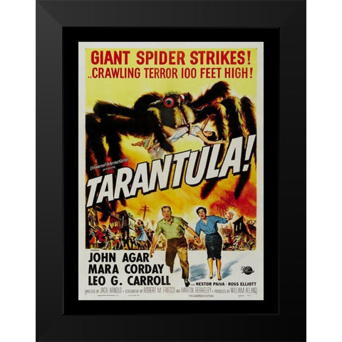 Tarantula Black Modern Wood Framed Art Print by Anonymous