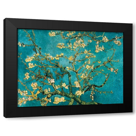 Mandorlo in fiore Black Modern Wood Framed Art Print with Double Matting by Van Gogh, Vincent