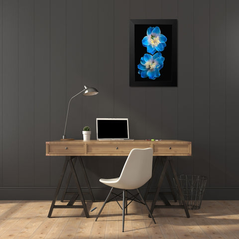 Candle Delphinium Black Modern Wood Framed Art Print by Reynolds, Richard