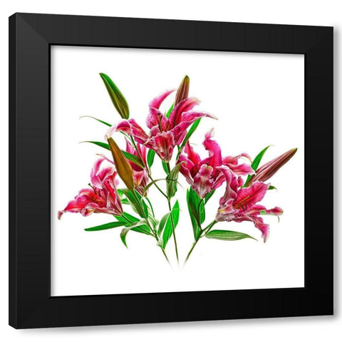 Stargazers Black Modern Wood Framed Art Print by Reynolds, Richard