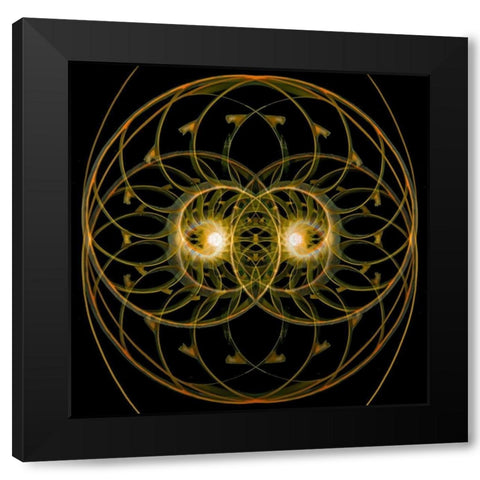 Nautilus Quad Black Modern Wood Framed Art Print with Double Matting by Reynolds, Richard