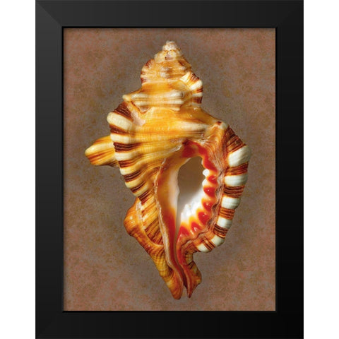 Perrys Triton Black Modern Wood Framed Art Print by Reynolds, Richard