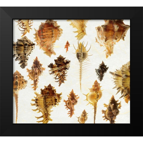 Murex Assemblage 2 Black Modern Wood Framed Art Print by Reynolds, Richard