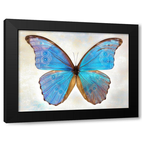 GodartS Morpho Black Modern Wood Framed Art Print with Double Matting by Reynolds, Richard