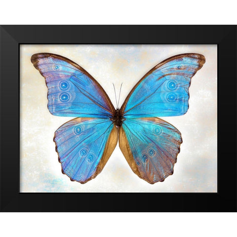 GodartS Morpho Black Modern Wood Framed Art Print by Reynolds, Richard