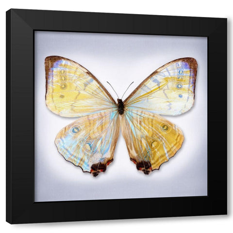Sulkowski Blue Black Modern Wood Framed Art Print with Double Matting by Reynolds, Richard
