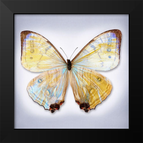 Sulkowski Blue Black Modern Wood Framed Art Print by Reynolds, Richard