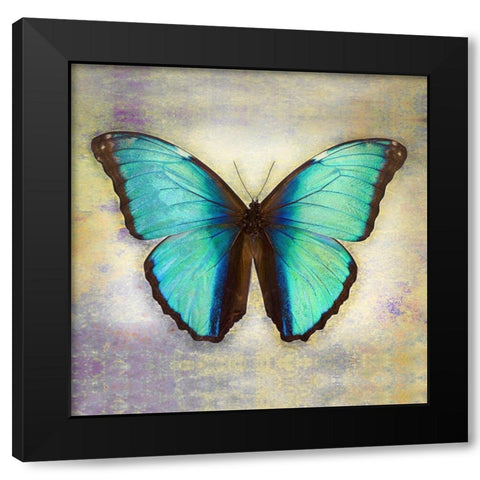 Deidamia Morpho 2 Black Modern Wood Framed Art Print by Reynolds, Richard