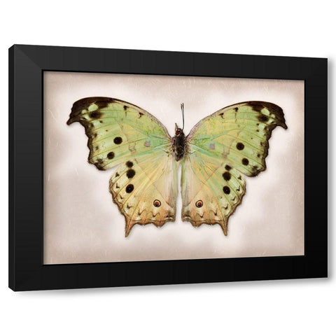 Forest Mother-Of-Pearl Black Modern Wood Framed Art Print with Double Matting by Reynolds, Richard