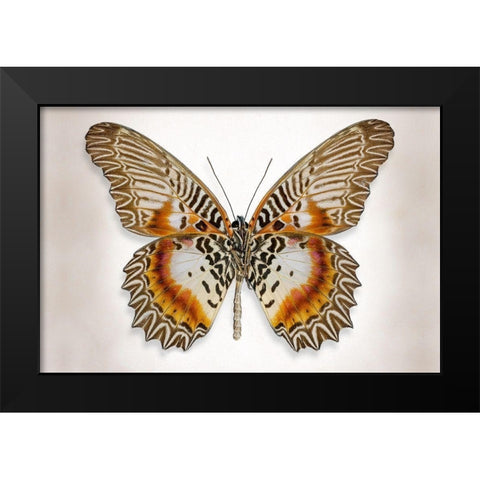 Brown Accented Butterfly Black Modern Wood Framed Art Print by Reynolds, Richard