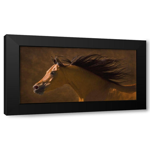Arabian Runner Black Modern Wood Framed Art Print with Double Matting by Dawson, Robert