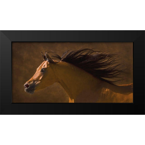 Arabian Runner Black Modern Wood Framed Art Print by Dawson, Robert
