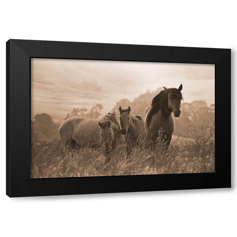 One Spring Morning Black Modern Wood Framed Art Print with Double Matting by Dawson, Robert
