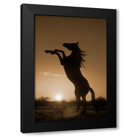 Rearing Horse Silhouette Black Modern Wood Framed Art Print with Double Matting by Dawson, Robert