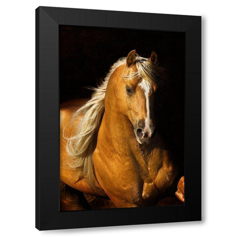 Sherrys Boy Black Modern Wood Framed Art Print with Double Matting by Dawson, Robert