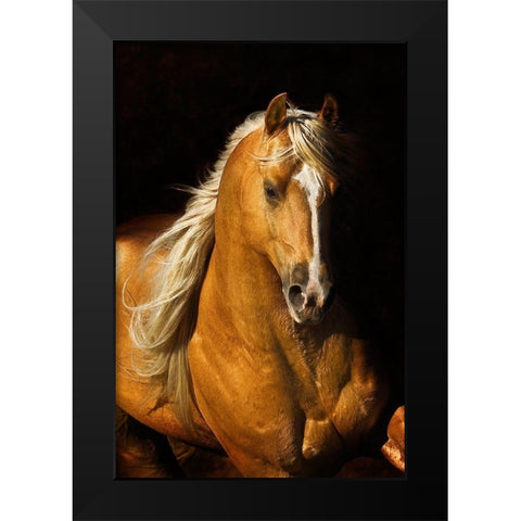 Sherrys Boy Black Modern Wood Framed Art Print by Dawson, Robert