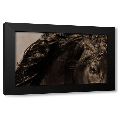 Sheraz Black Modern Wood Framed Art Print by Dawson, Robert
