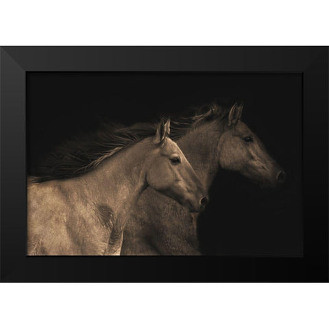 Young Mustangs Black Modern Wood Framed Art Print by Dawson, Robert