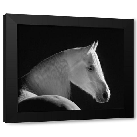 White Shadow Black Modern Wood Framed Art Print with Double Matting by Dawson, Robert