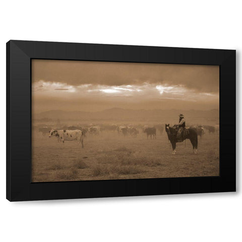 Settling the Herd Black Modern Wood Framed Art Print with Double Matting by Dawson, Robert