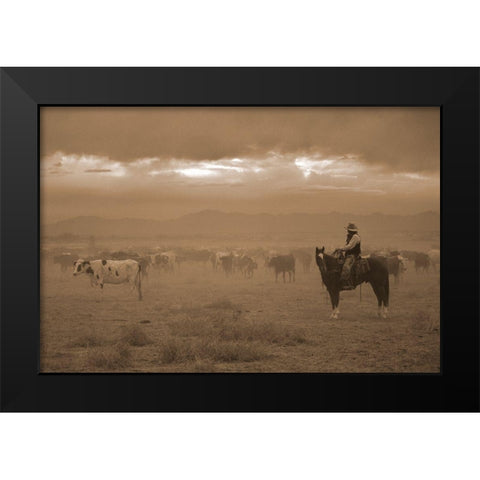 Settling the Herd Black Modern Wood Framed Art Print by Dawson, Robert