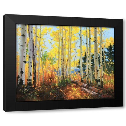 Castle Creek Trail Black Modern Wood Framed Art Print with Double Matting by Kim, Gary
