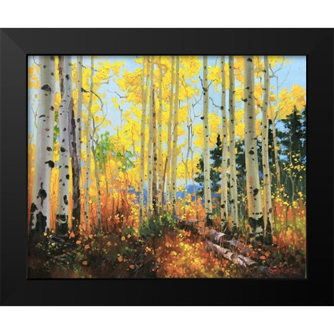 Castle Creek Trail Black Modern Wood Framed Art Print by Kim, Gary
