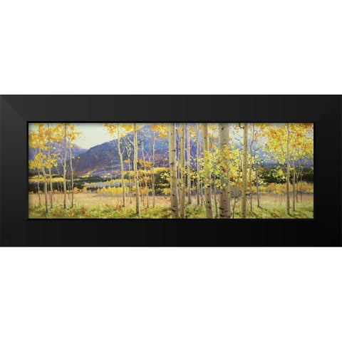 Aspen Beauty Black Modern Wood Framed Art Print by Kim, Gary