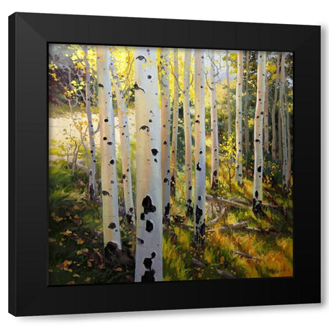 Early Aspen Black Modern Wood Framed Art Print with Double Matting by Kim, Gary