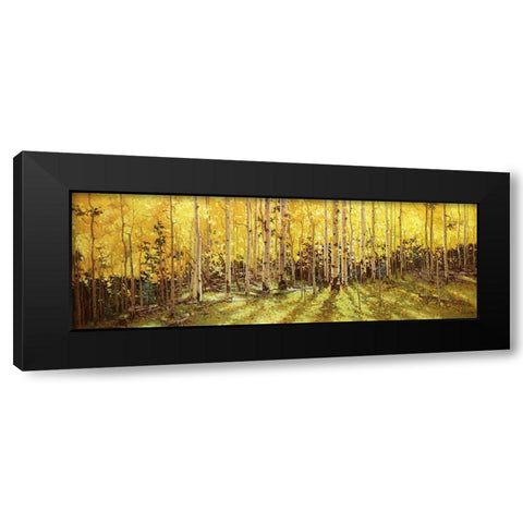 Aspen Panorama Black Modern Wood Framed Art Print with Double Matting by Kim, Gary