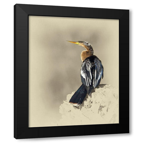 Anhinga Black Modern Wood Framed Art Print by Brown, Jim