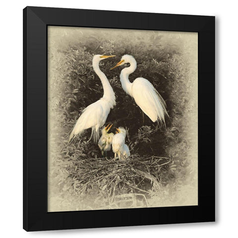 Great Egret Family Black Modern Wood Framed Art Print by Brown, Jim
