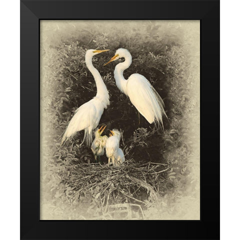 Great Egret Family Black Modern Wood Framed Art Print by Brown, Jim