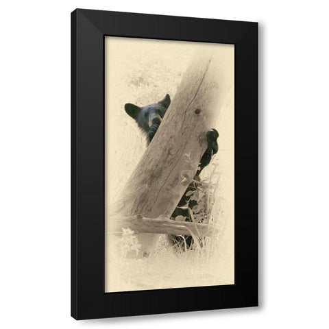 Hello Black Bear Black Modern Wood Framed Art Print by Brown, Jim