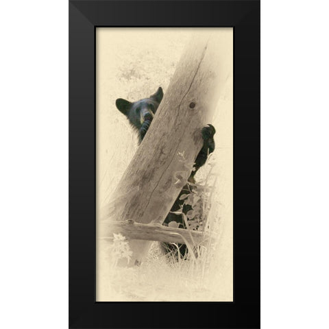 Hello Black Bear Black Modern Wood Framed Art Print by Brown, Jim