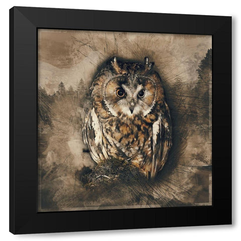 Owl In the Wild  Black Modern Wood Framed Art Print by Bolokofsky, Ronald