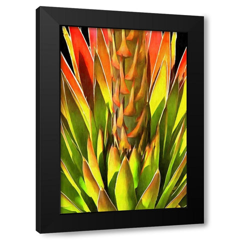 Agave I Black Modern Wood Framed Art Print by Bolokofsky, Ronald