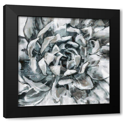 Cereus Aeonium Black Modern Wood Framed Art Print by Bolokofsky, Ronald