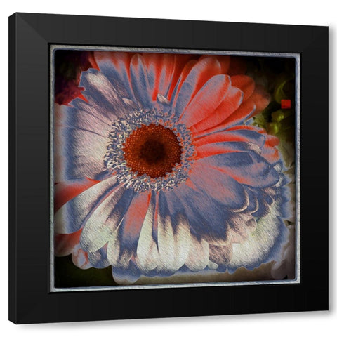 Floral Blue Black Modern Wood Framed Art Print by Bolokofsky, Ronald