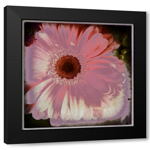 Floral Pink Black Modern Wood Framed Art Print by Bolokofsky, Ronald