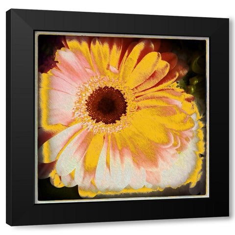 Floral Yellow Black Modern Wood Framed Art Print by Bolokofsky, Ronald