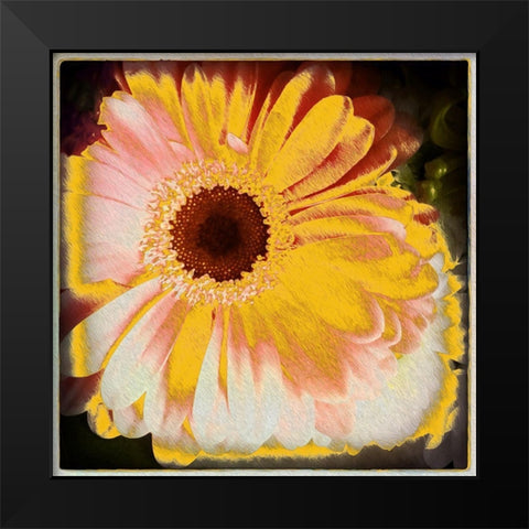 Floral Yellow Black Modern Wood Framed Art Print by Bolokofsky, Ronald