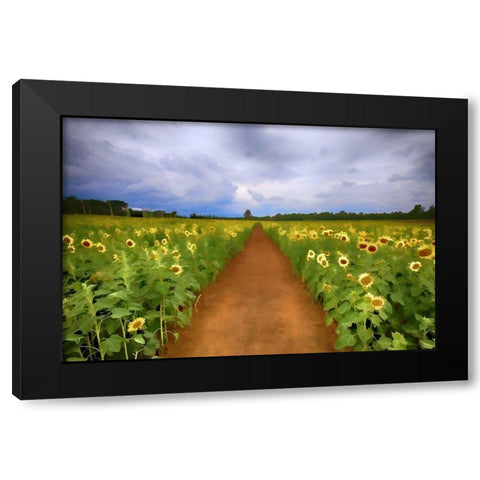 Sunflower Field Black Modern Wood Framed Art Print with Double Matting by Bolokofsky, Ronald