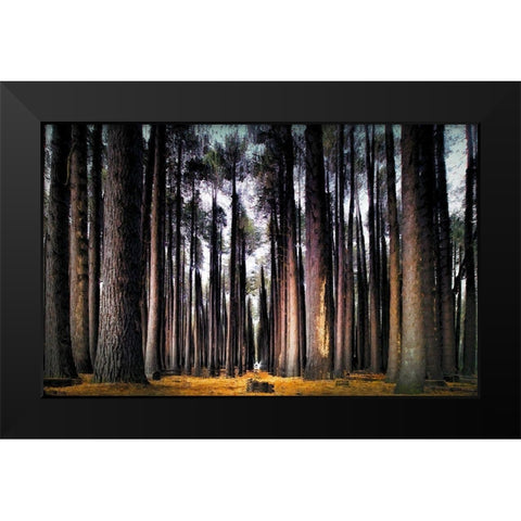 Into the Forest Black Modern Wood Framed Art Print by Bolokofsky, Ronald